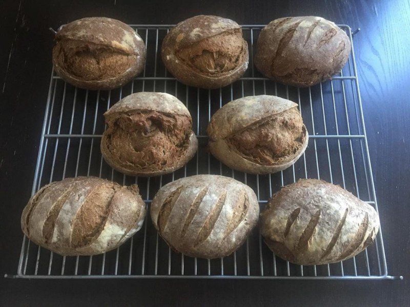 I realise I forgot to show off the finished black pepper rye sourdough loaves. So here they are.
