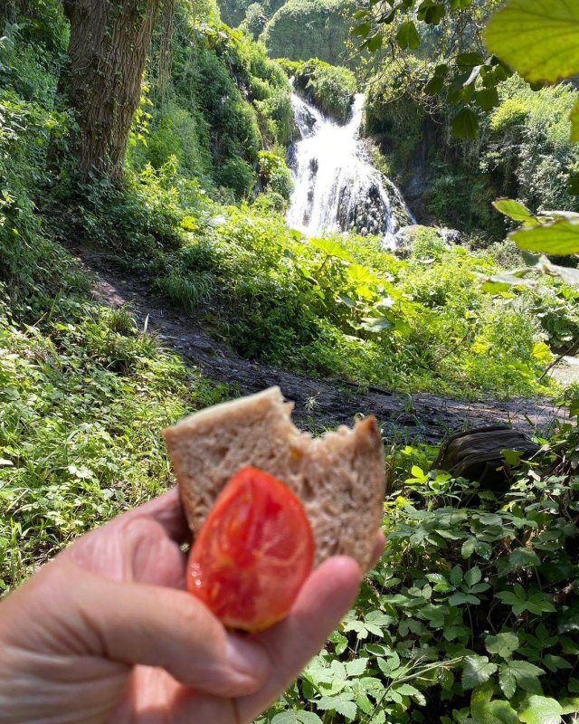 Home grown tomato, home made bread, man made waterfall