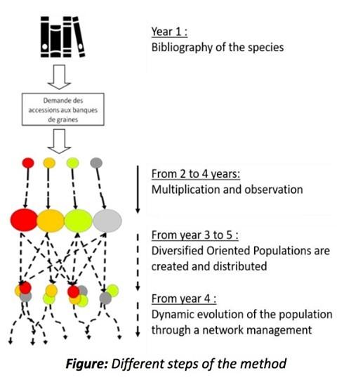 Cereal friends, would you like to create your own evolutionary populations? 