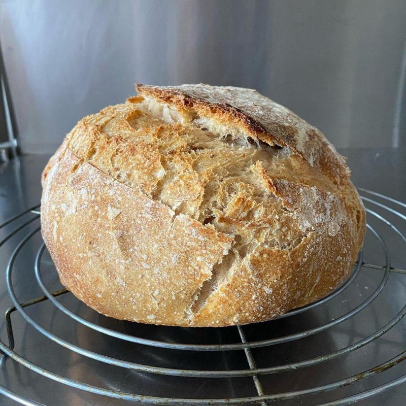 Second order of business: revive the starter and bake good bread.
