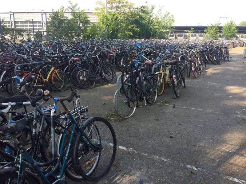 Where bicycles come to die.
