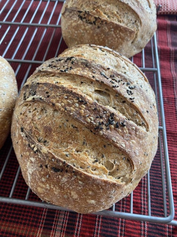 This week’s sourdough is packed with nigella seeds and it smells terrific. 
