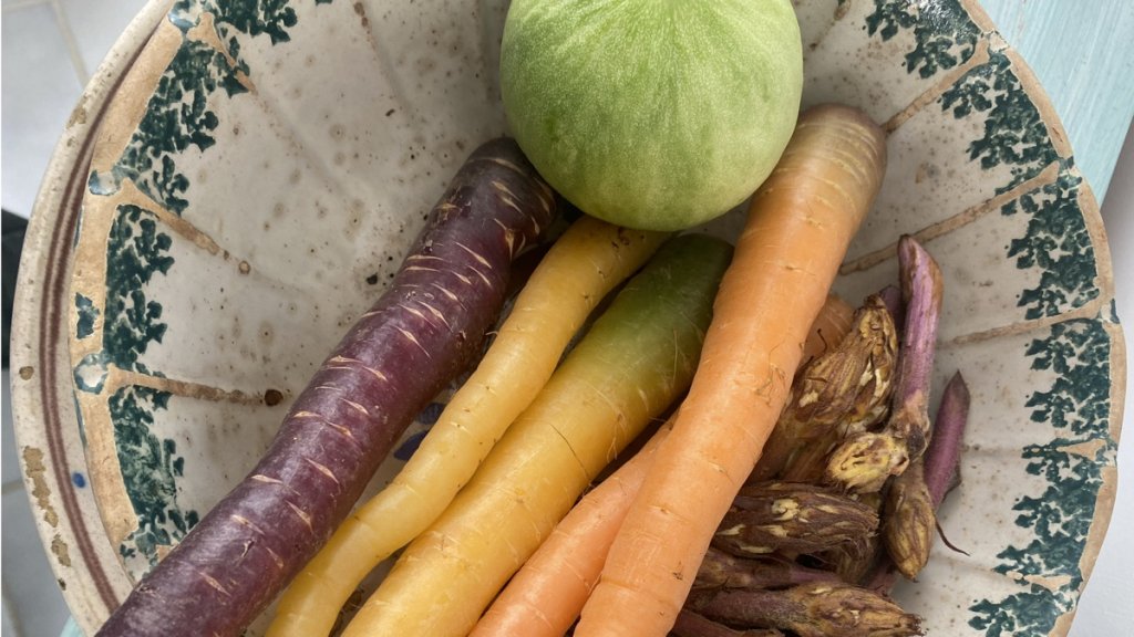 Typical vegetables of puglia in a ceramic bowl decorated with a green border. Barattiere are round, pale-green melons, eaten unripe like a cucumber. Carrots cay be purple, yellow or orange. And sporchia are the dark purple shoots of a broomrape parasitic on broad beans.