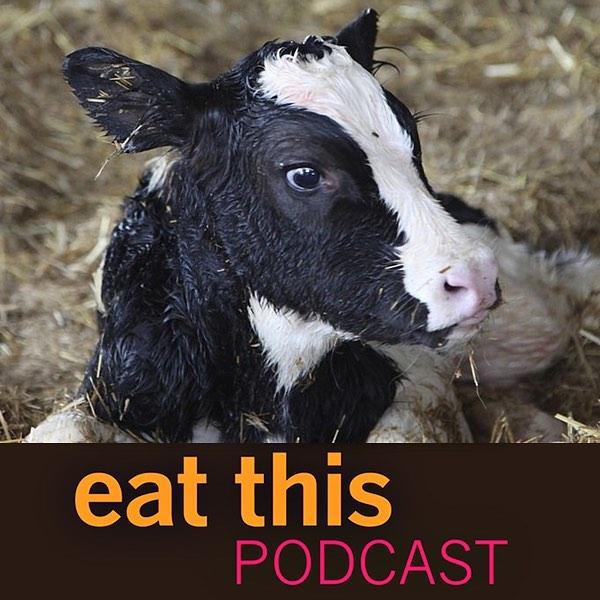Latest episode asks whatever happened to British veal. Time was when veal calves were kept in the dark. Now it seems to be consumers. We shine a light on how male dairy calves have found a better place in the British food system.

https://www.eatthispodcast.com/whatever-happened-to-british-veal/

#podcast 
