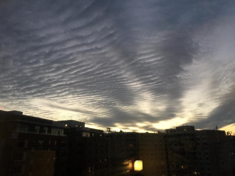 Mackerel sky over Crystal City