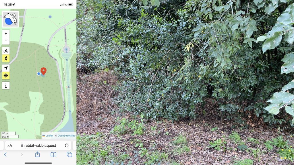 Composite image. On the left a map showing the location of the quest and my position. On the right a mass of tangled vegetation at the edge of some woods.