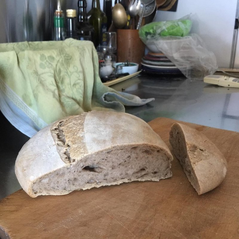 Not exactly a fuckedloaf, because despite the spreading and lack of spring, the structure is good and the taste excellent. I’d say more handsomeisashandsomedoes. My Saracen Special with 15% whole buckwheat. Very tasty.